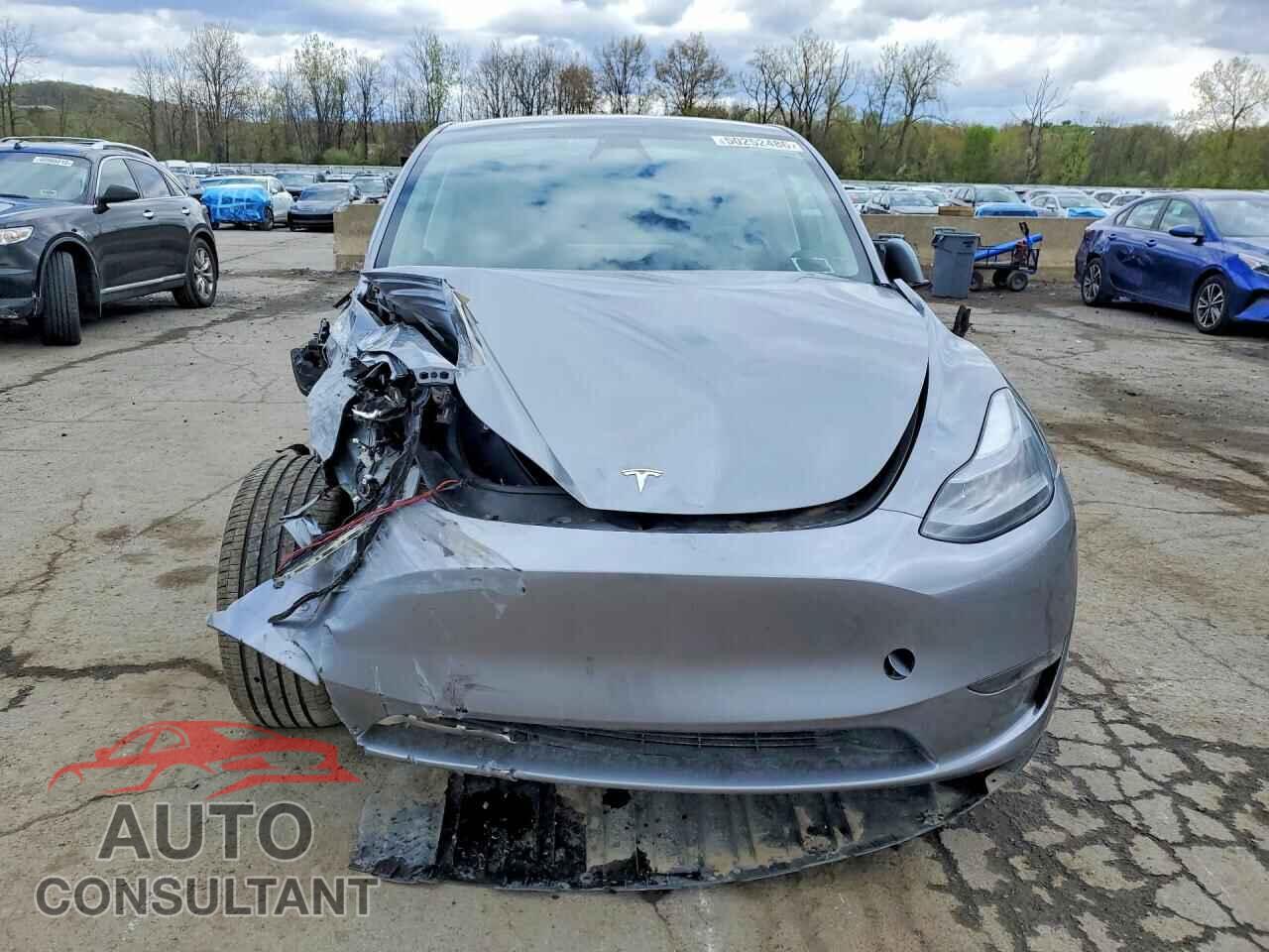 TESLA MODEL Y 2024 - 7SAYGAEE3RF098659