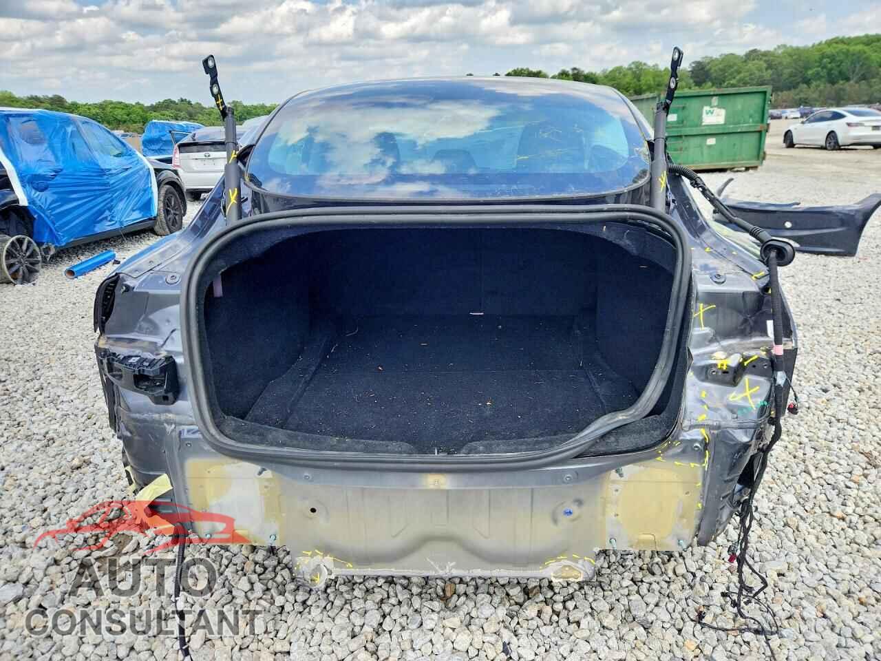 TESLA MODEL 3 2025 - 5YJ3E1EA8SF031507