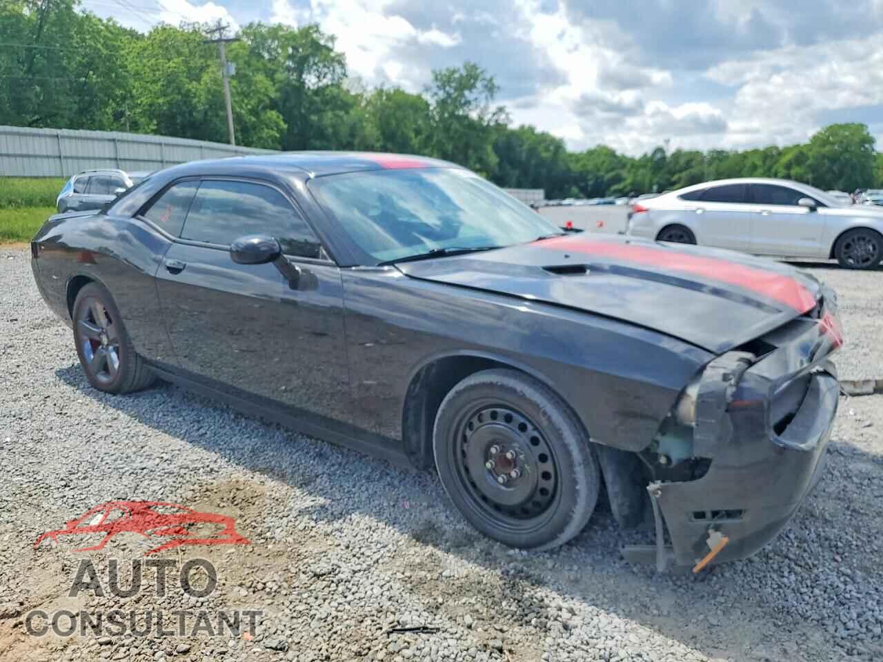 DODGE CHALLENGER 2013 - 2C3CDYAG1DH524906