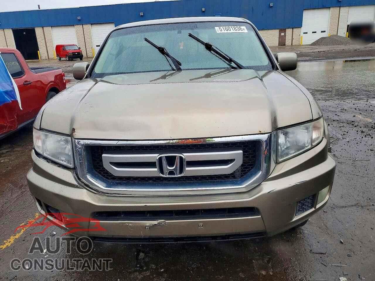 HONDA RIDGELINE 2010 - 5FPYK1F43AB010318