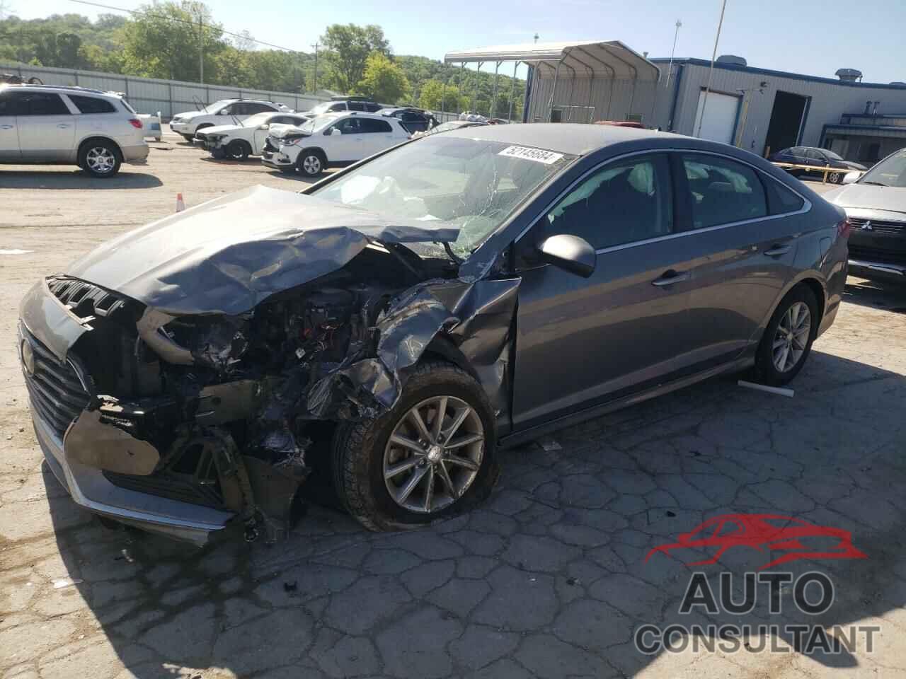 HYUNDAI SONATA 2019 - 5NPE24AF3KH753425