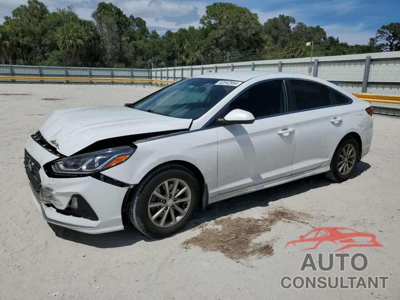 HYUNDAI SONATA 2019 - 5NPE24AF7KH814016