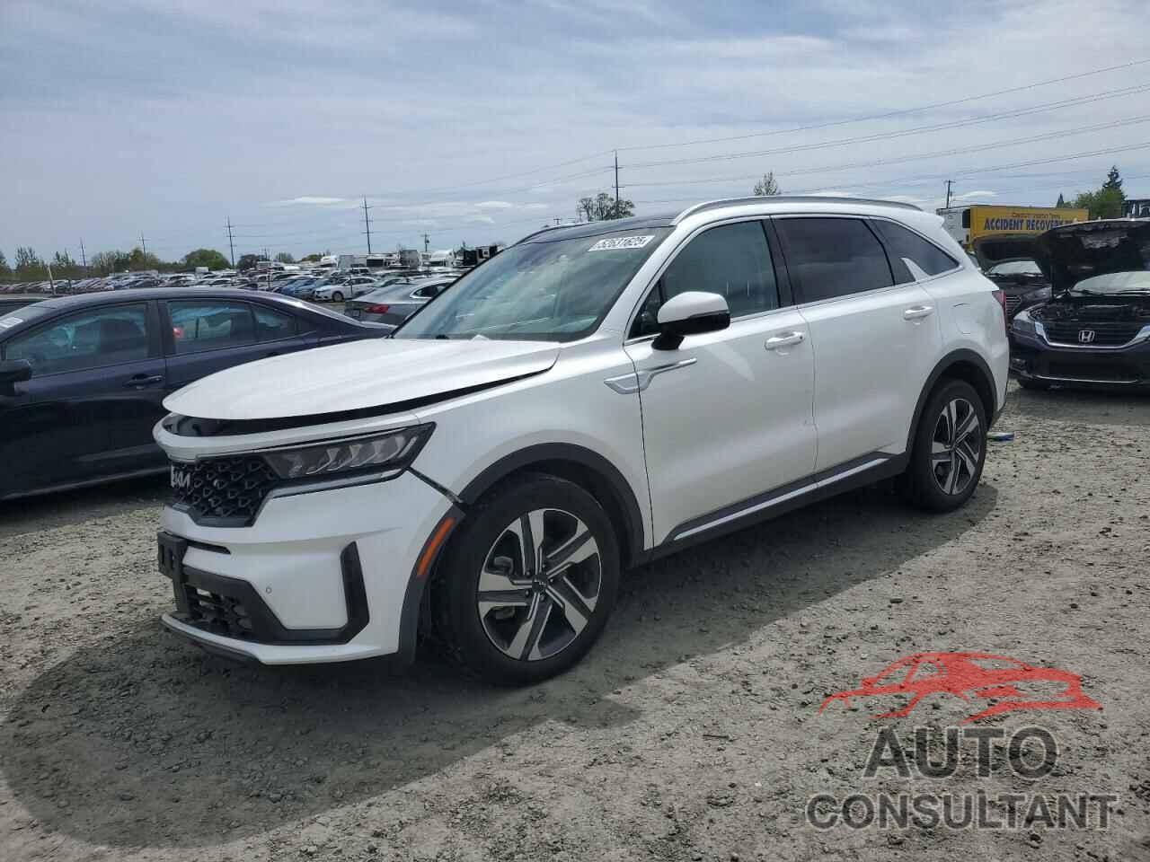 KIA SORENTO 2022 - KNDRHDLG1N5096991