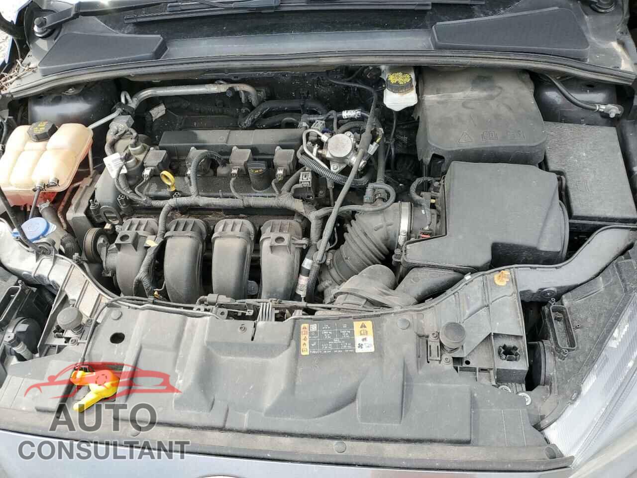 FORD FOCUS 2017 - 1FADP3N24HL320480
