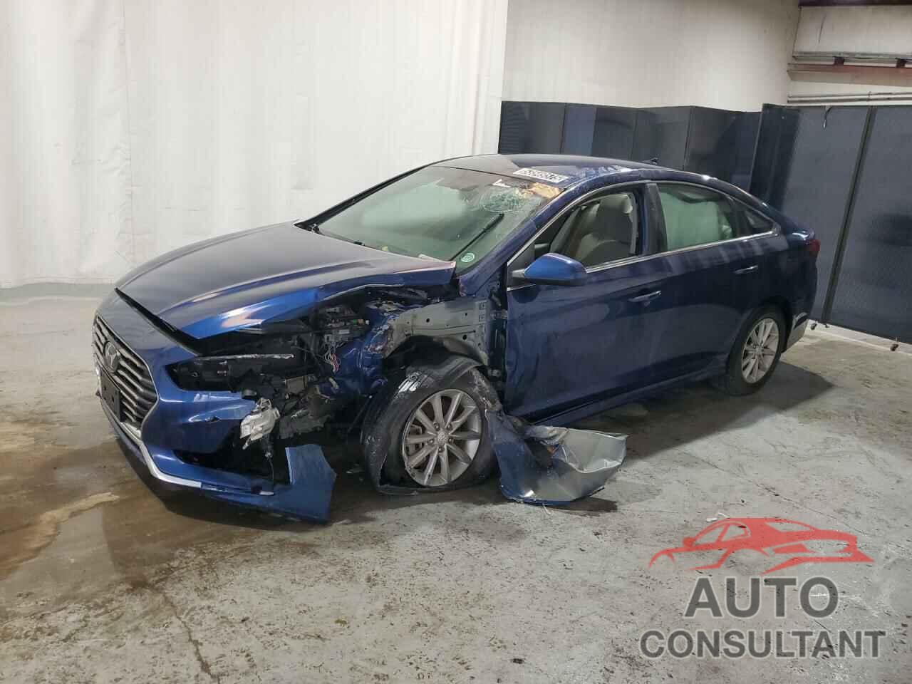 HYUNDAI SONATA 2019 - 5NPE24AF9KH793198
