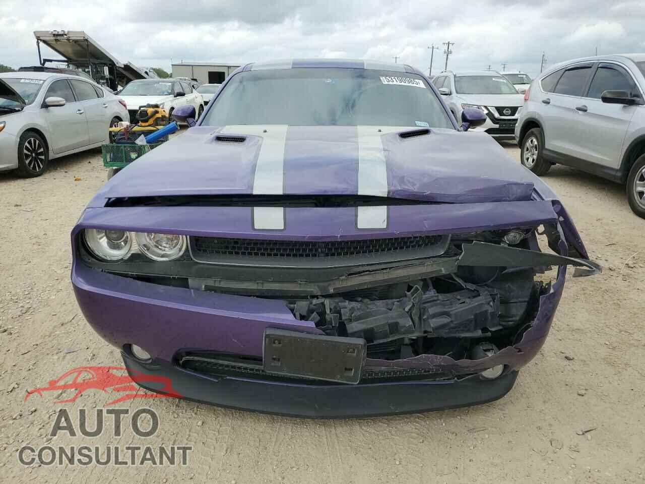 DODGE CHALLENGER 2013 - 2C3CDYBTXDH671611