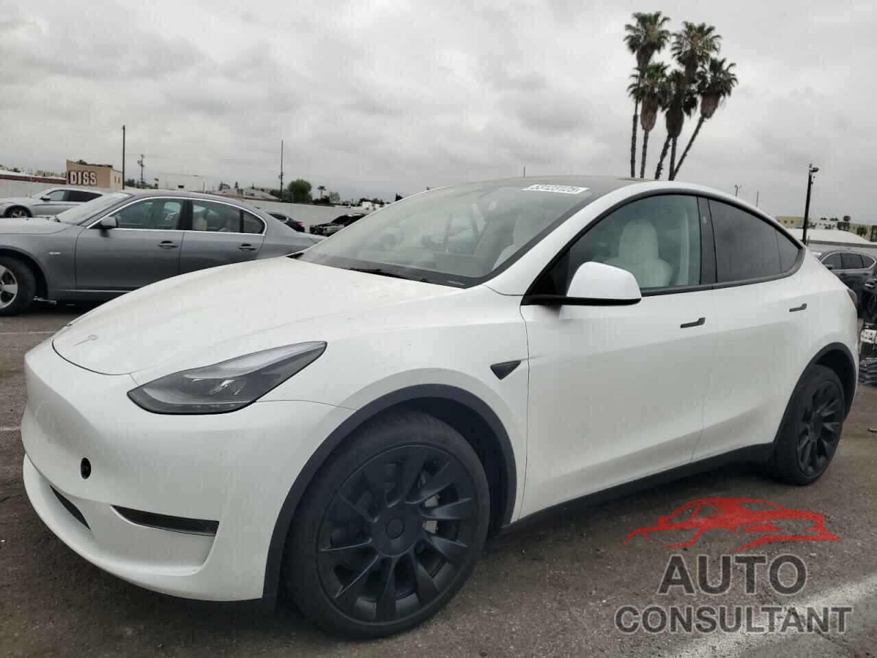 TESLA MODEL Y 2025 - 7SAYGDED5SF228228