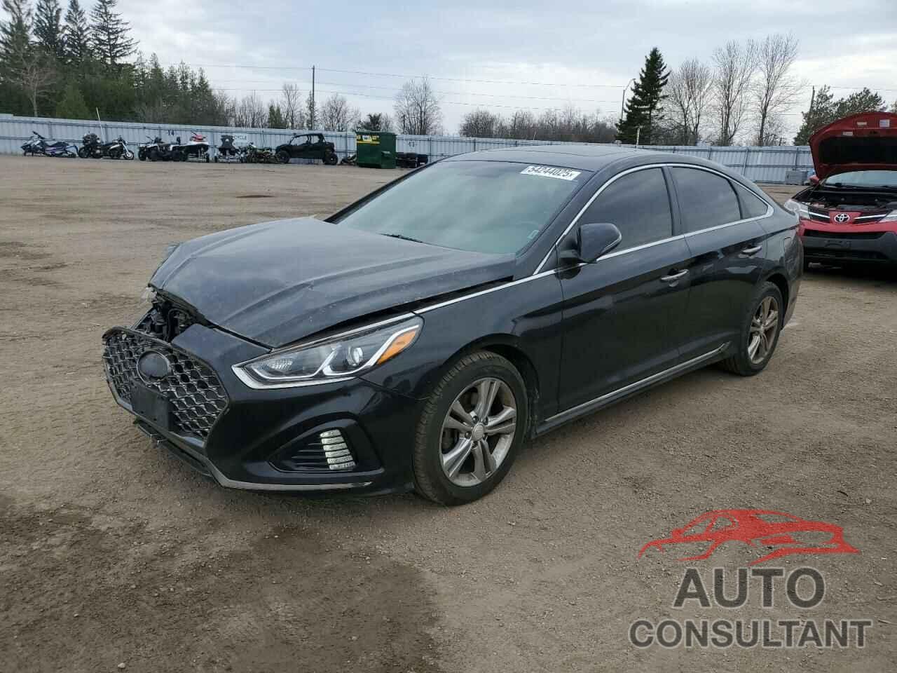HYUNDAI SONATA 2019 - 5NPE34AF9KH748131