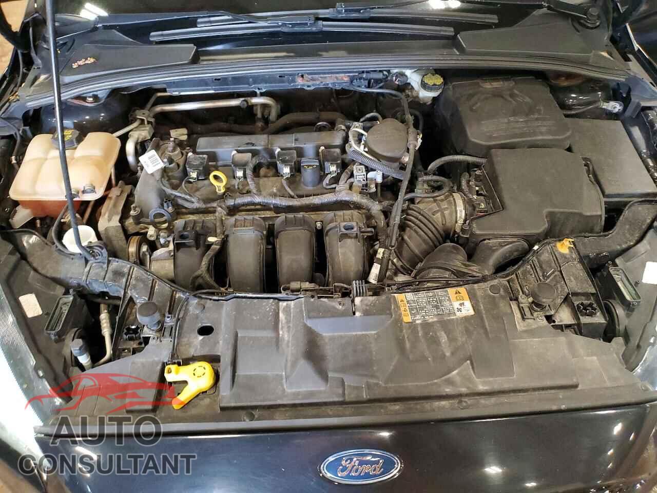 FORD FOCUS 2016 - 1FADP3F29GL239777