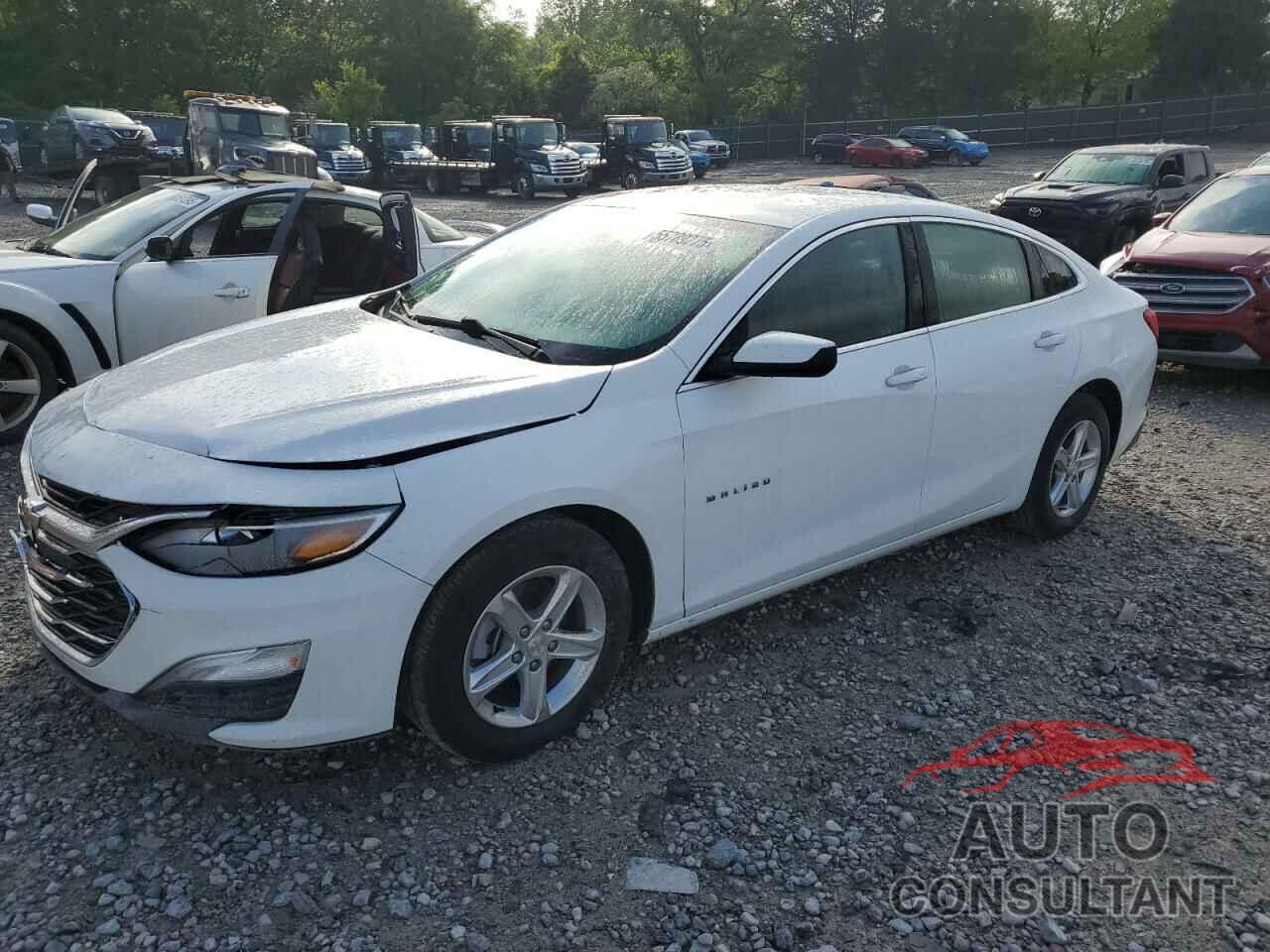 CHEVROLET MALIBU 2024 - 1G1ZC5ST0RF191831