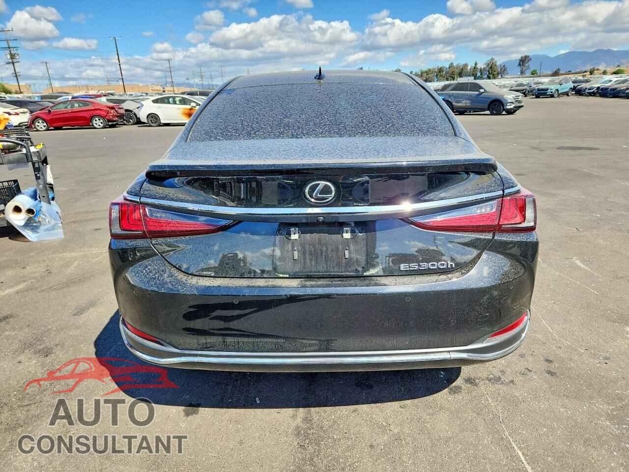 LEXUS ES300 2023 - 58ADA1C11PU033282