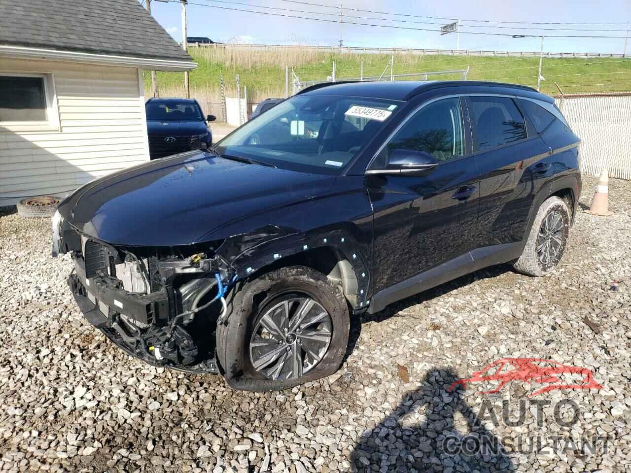 HYUNDAI TUCSON 2022 - KM8JBCA19NU054464
