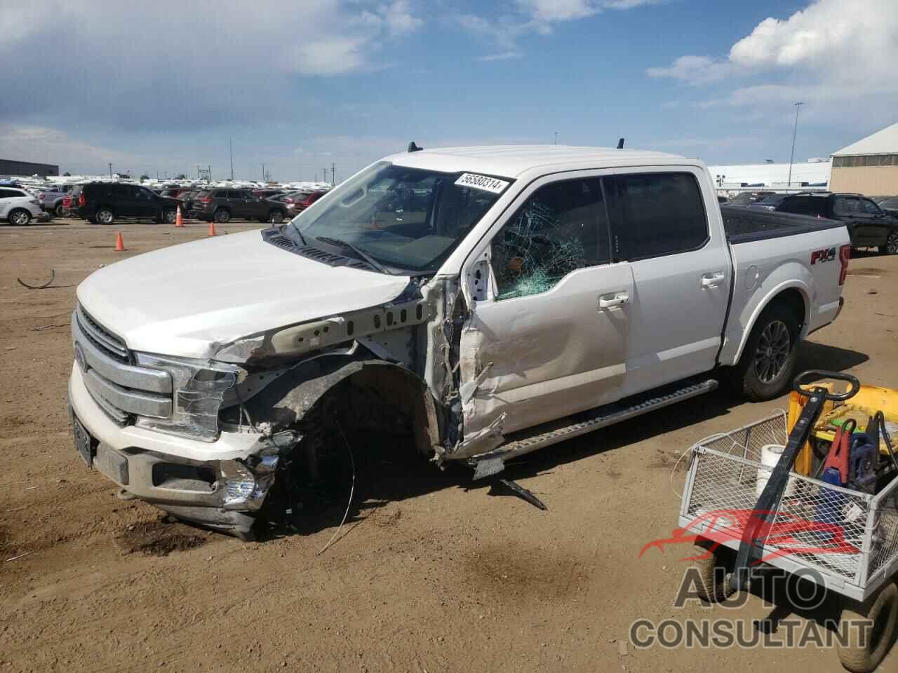 FORD F-150 2019 - 1FTEW1E45KKE34508
