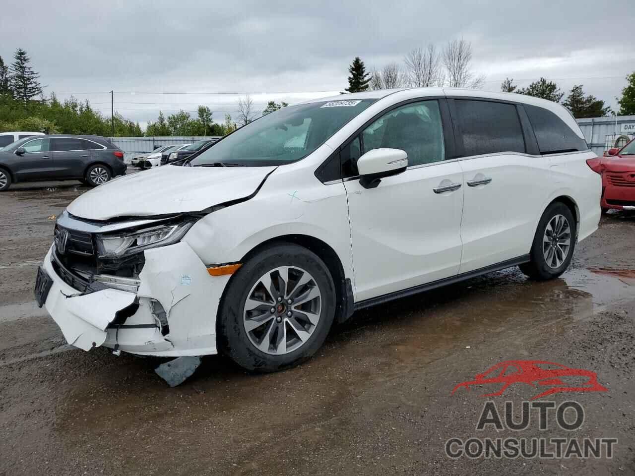 HONDA All Models 2022 - 5FNRL6H62NB502754