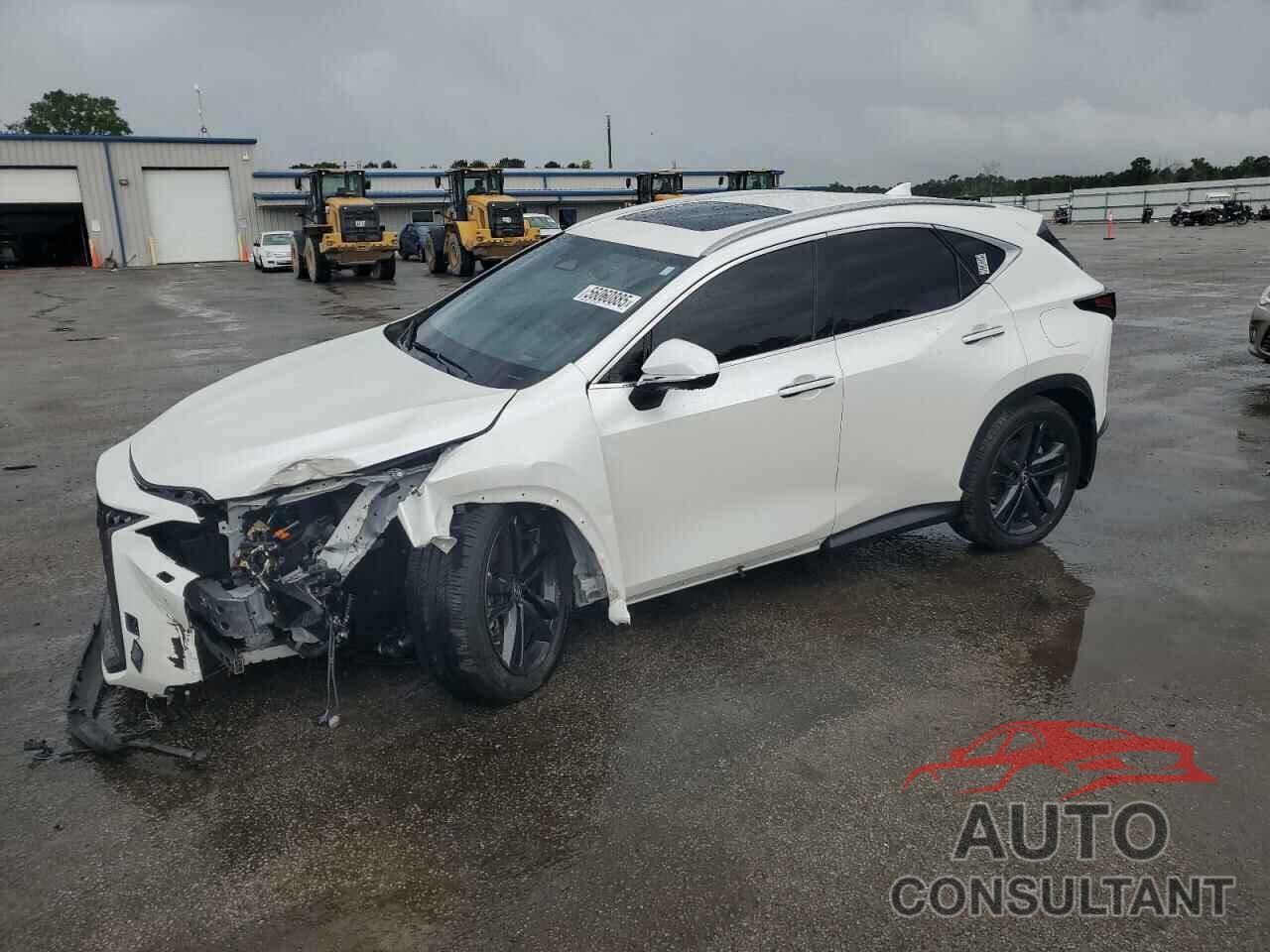 LEXUS NX 450H LU 2024 - JTJHKCFZ9R2031878