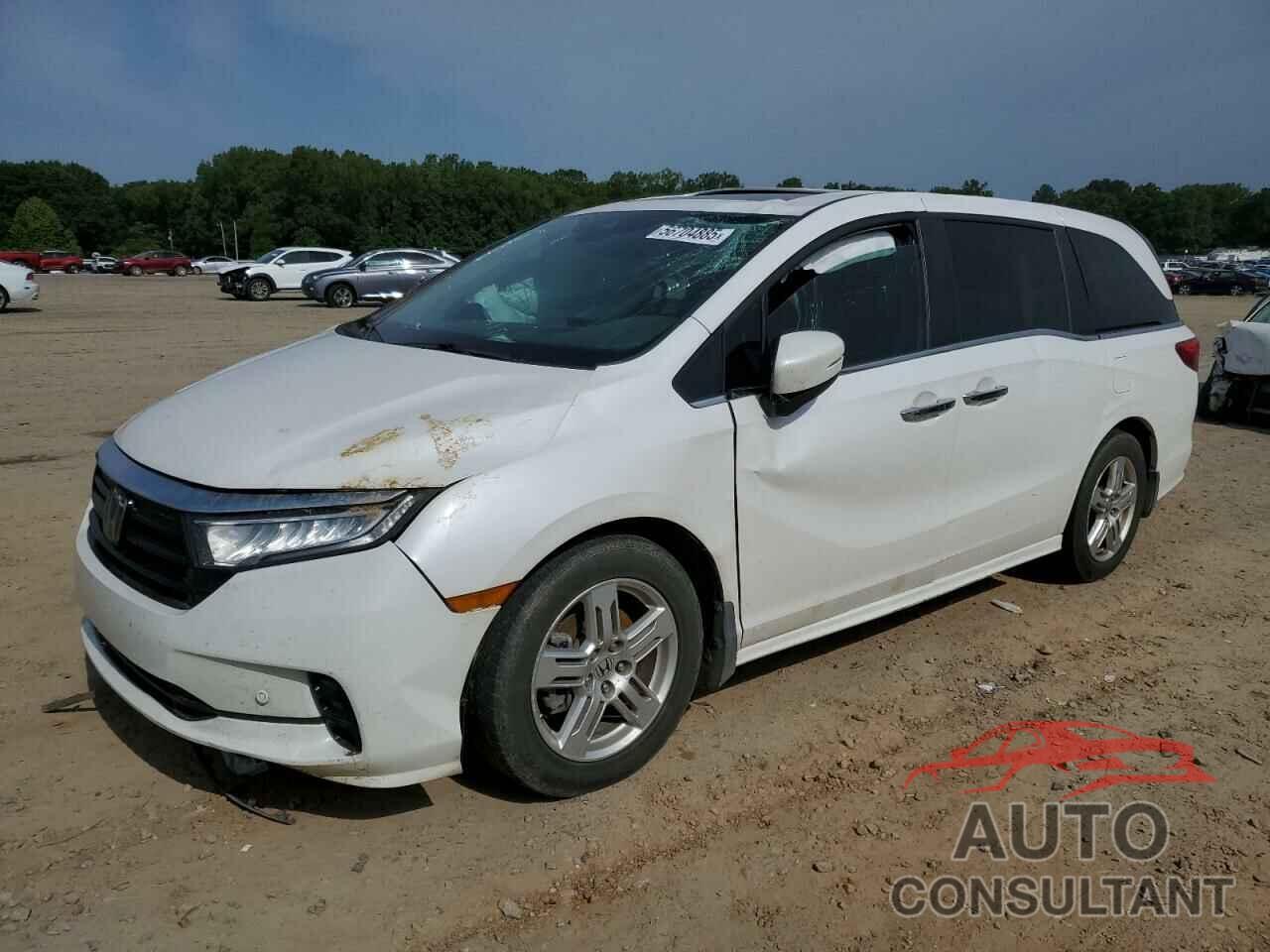 HONDA ODYSSEY 2024 - 5FNRL6H89RB026378