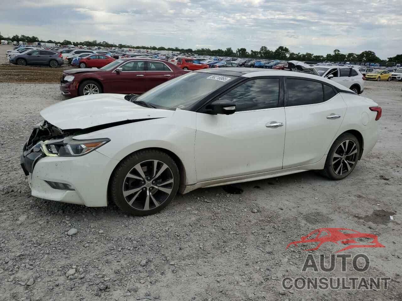 NISSAN MAXIMA 2018 - 1N4AA6AP6JC404541
