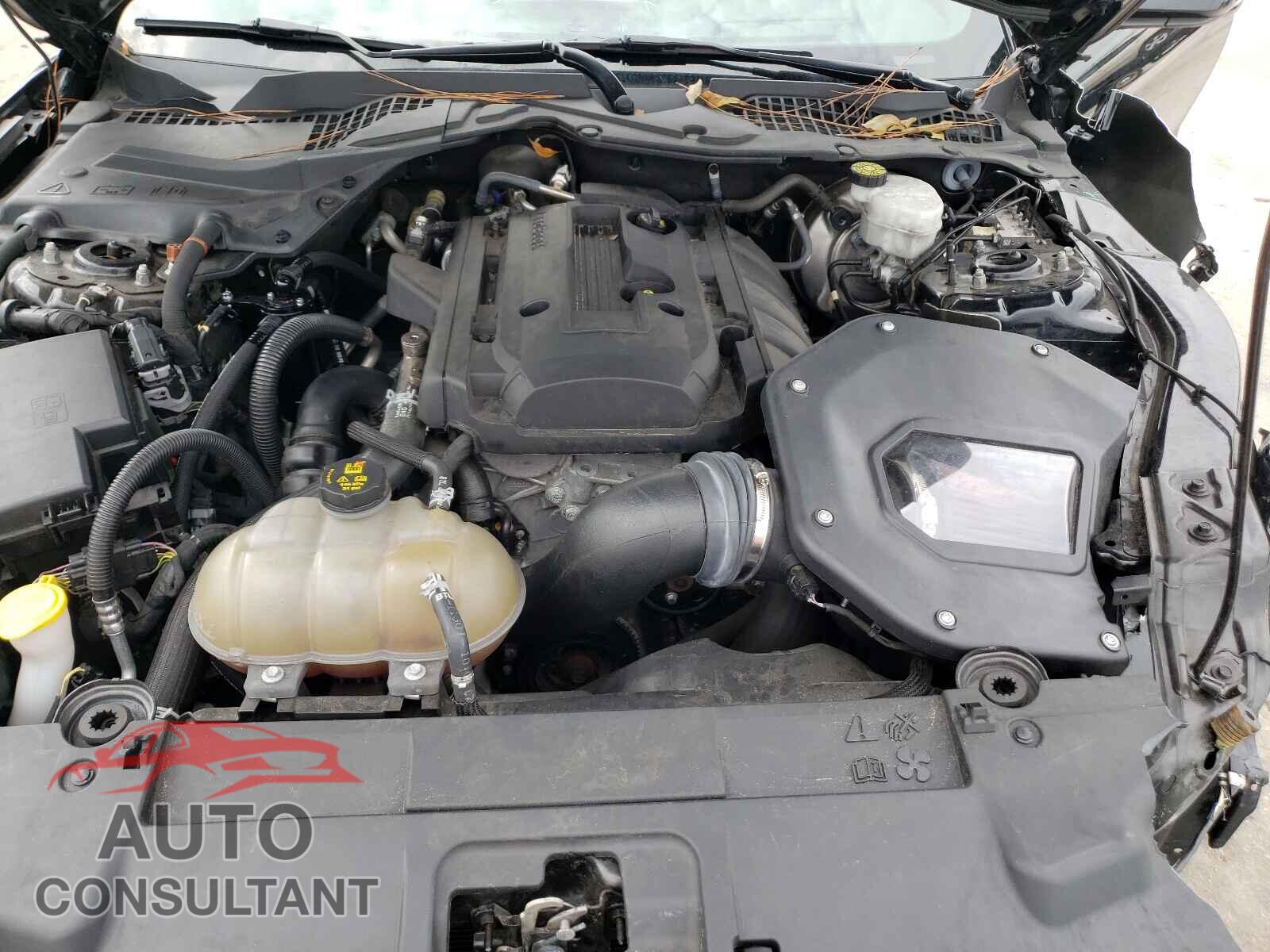 FORD MUSTANG 2019 - 1FA6P8TH8K5110182