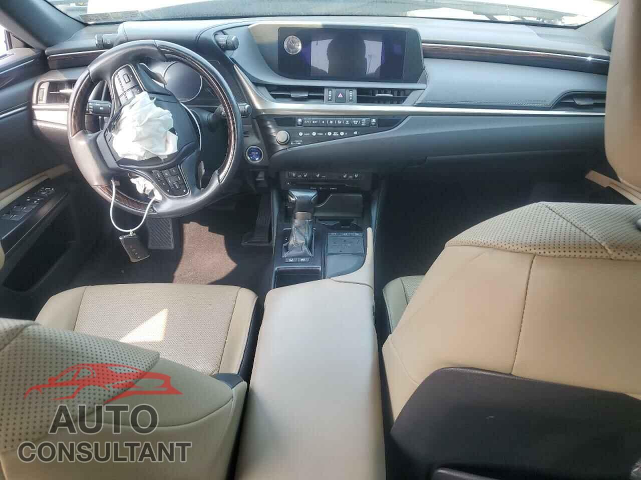 LEXUS ES300 2021 - 58ADA1C17MU003473