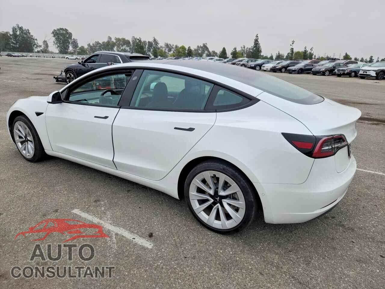 TESLA MODEL 3 2021 - 5YJ3E1EA1MF977855