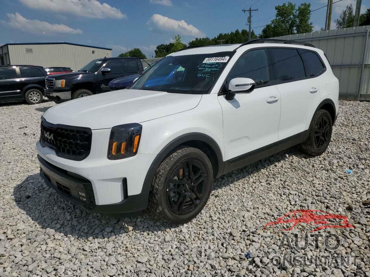 KIA TELLURIDE 2024 - 5XYP5DGC2RG446374