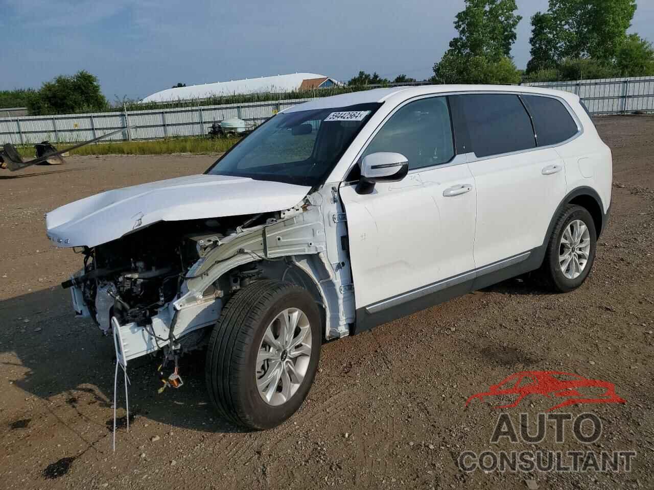 KIA TELLURIDE 2022 - 5XYP2DHC8NG318528