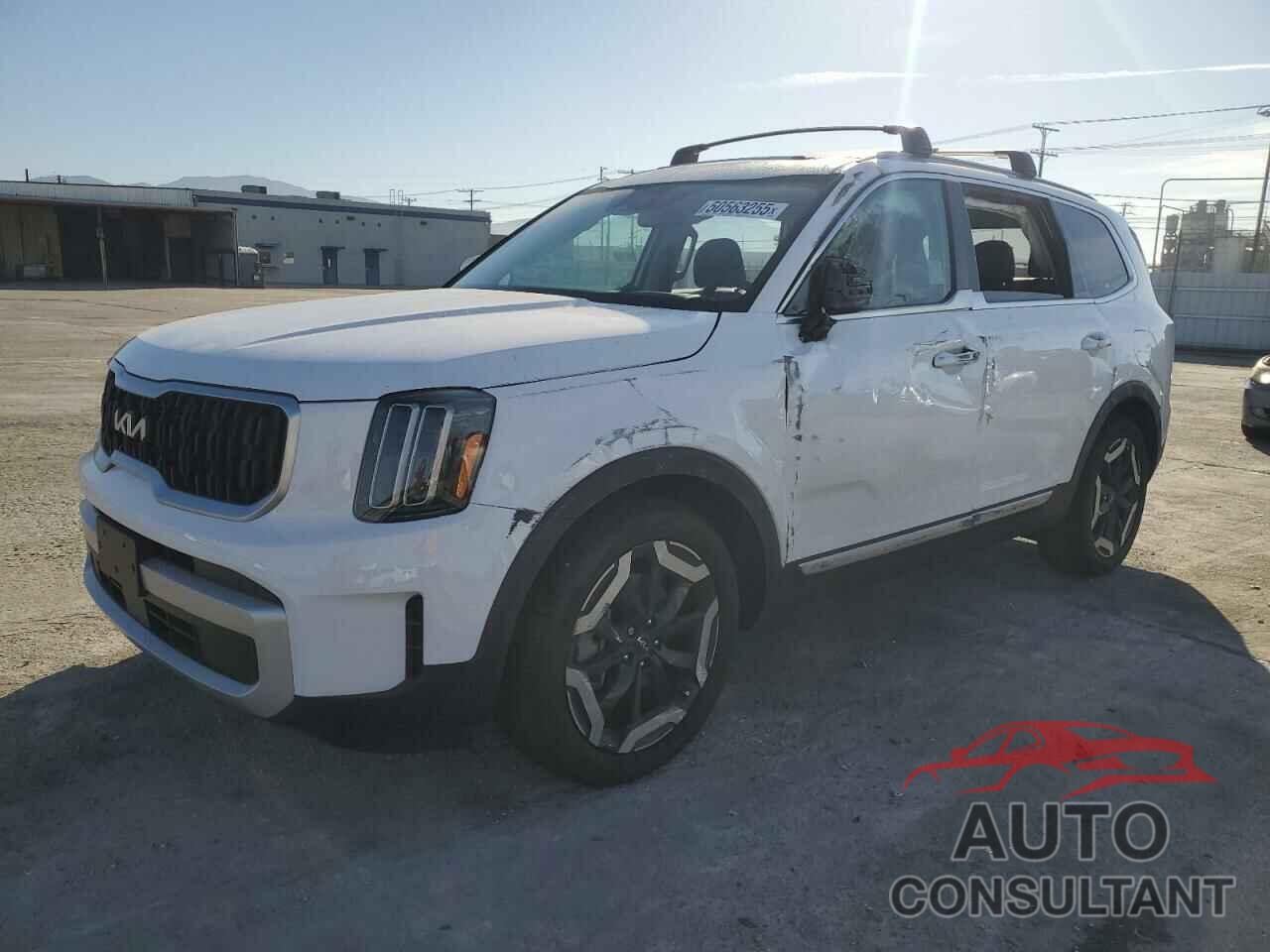 KIA TELLURIDE 2024 - 5XYP34GC0RG553767