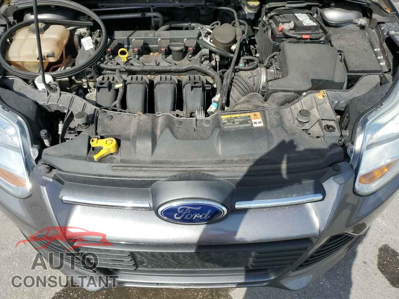 FORD FOCUS 2014 - 1FADP3F23EL232532