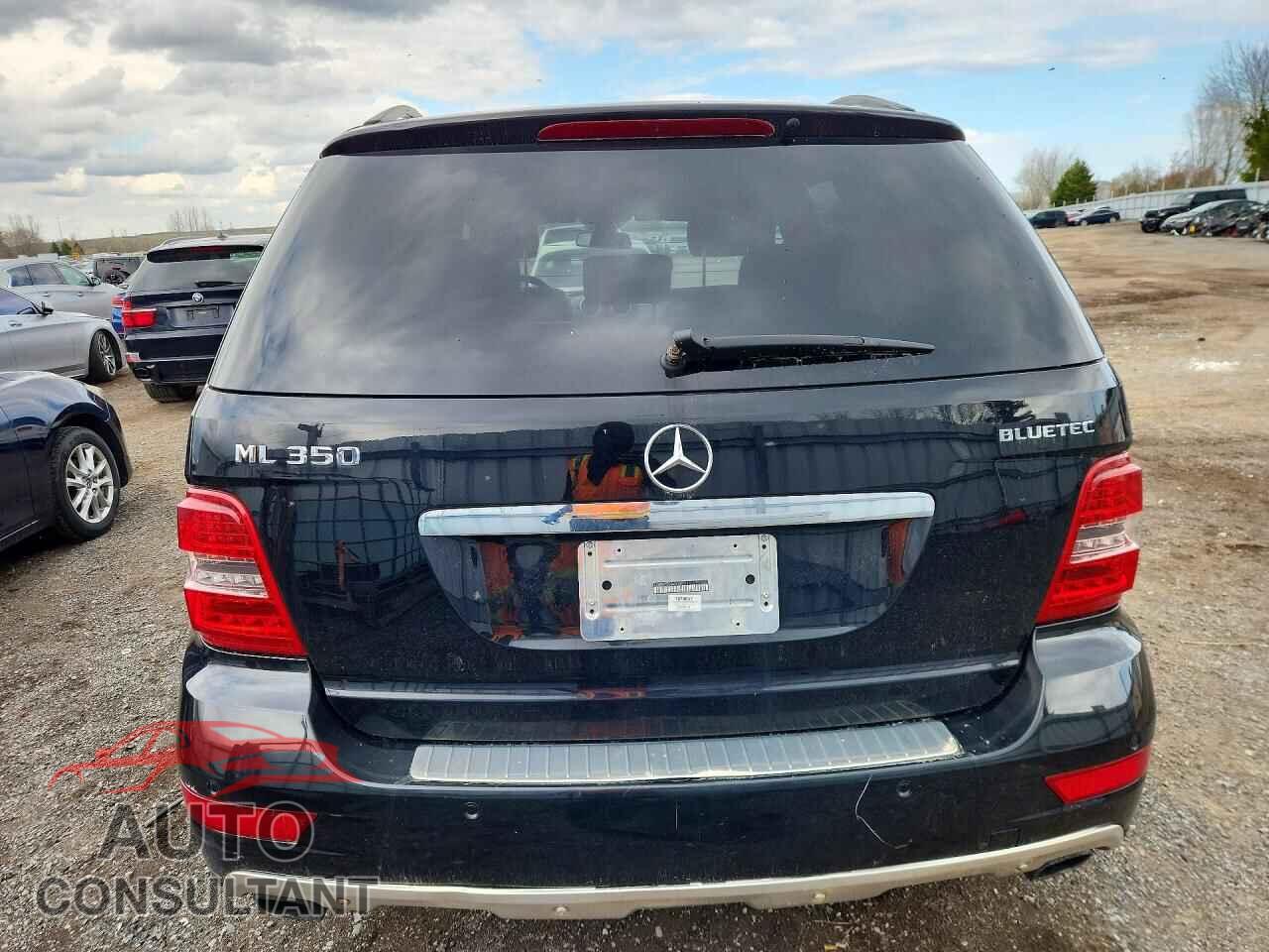MERCEDES-BENZ M-CLASS 2010 - 4JGBB2FB3AA534771