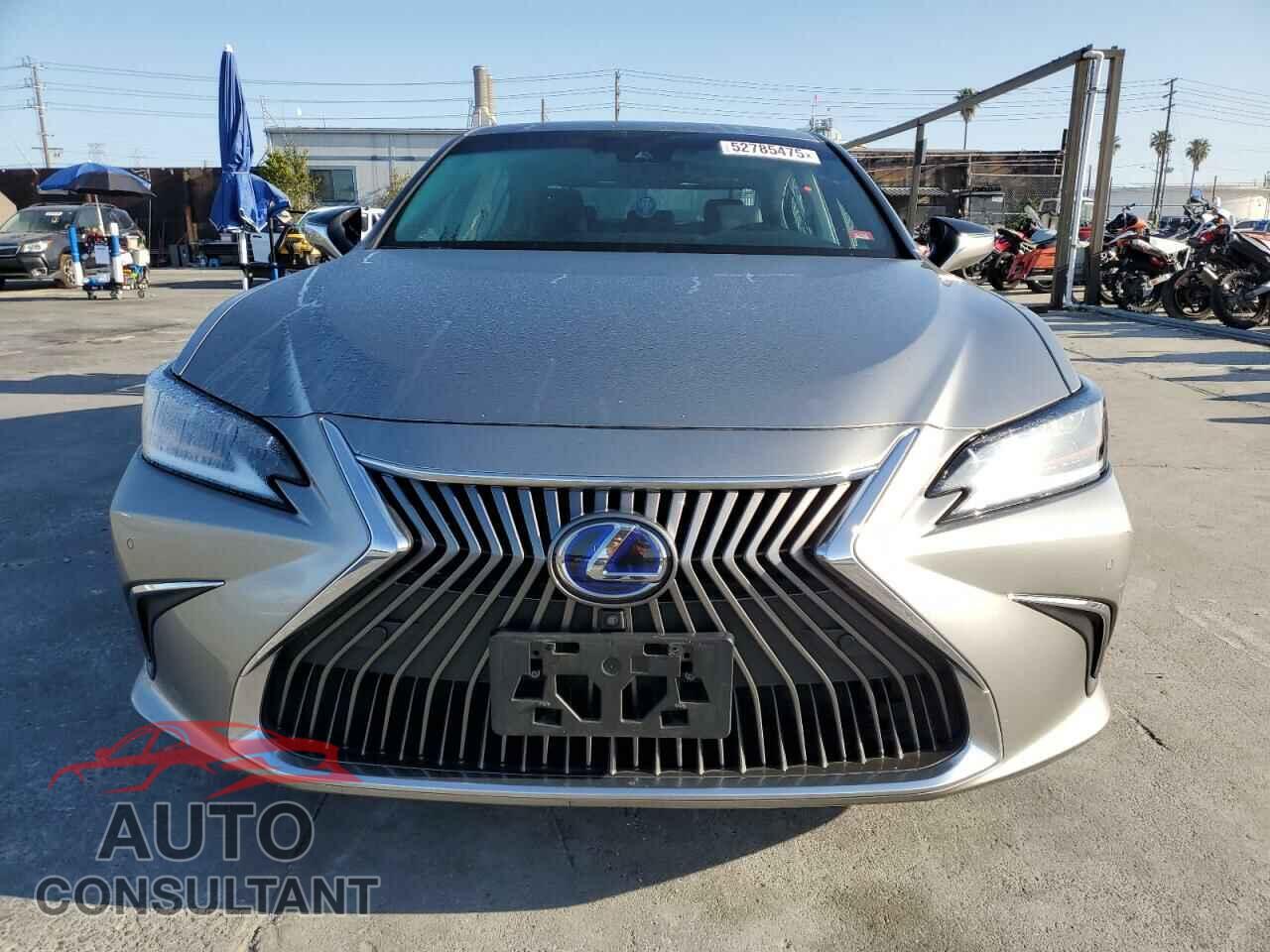 LEXUS ES300 2020 - 58AE21B13LU012561