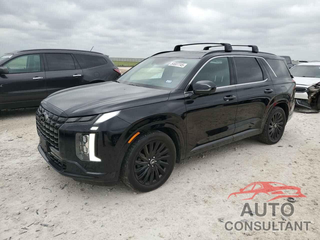 HYUNDAI PALISADE 2024 - KM8R7DGE8RU690383