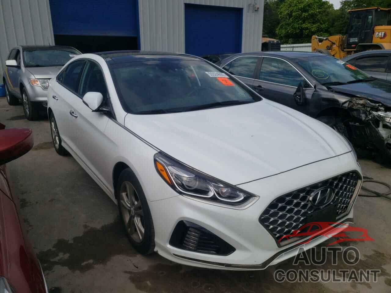 HYUNDAI SONATA 2019 - 5NPE34AF3KH771808