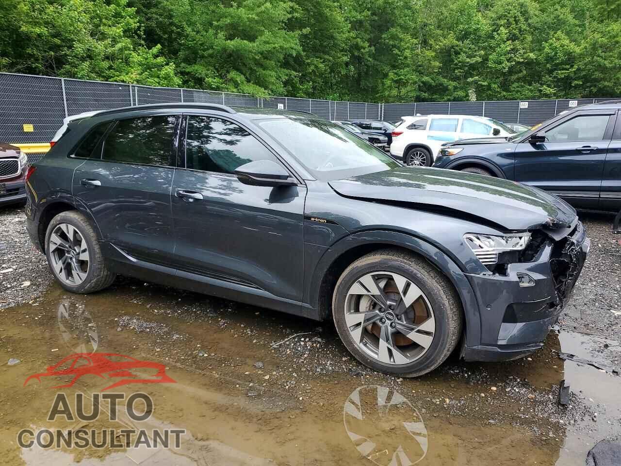 AUDI E-TRON 2021 - WA1AAAGE5MB010701