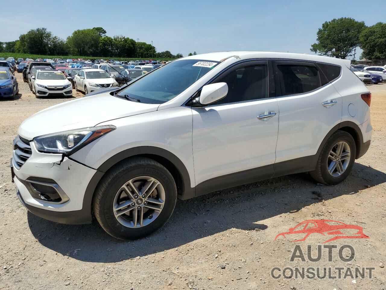 HYUNDAI SANTA FE 2017 - 5NMZT3LB4HH041109