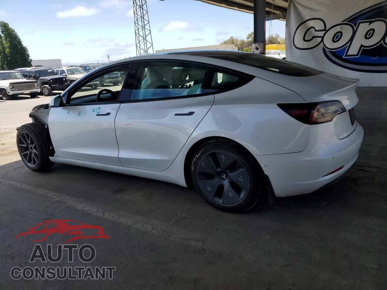 TESLA MODEL 3 2021 - 5YJ3E1EBXMF876158
