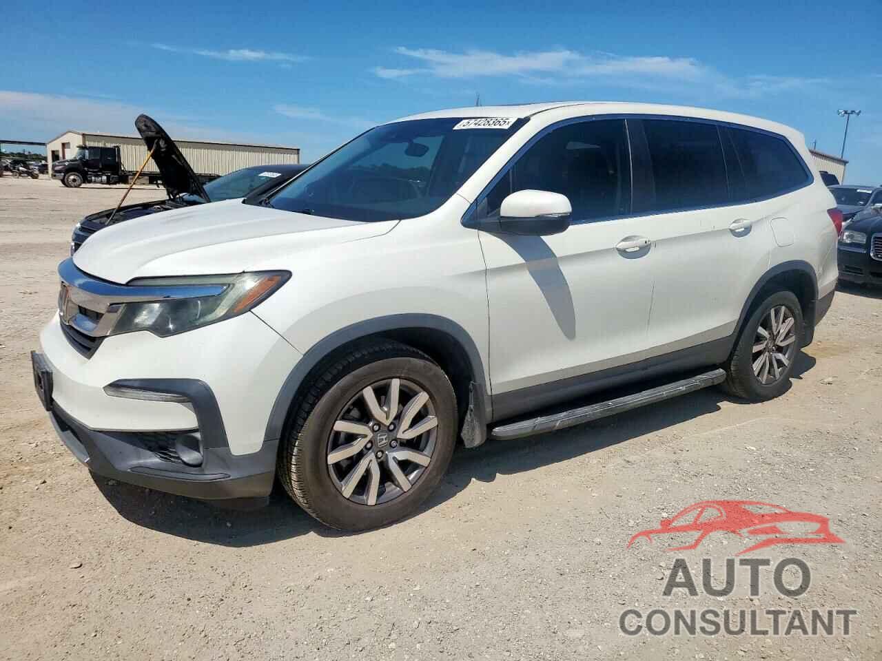 HONDA PILOT 2019 - 5FNYF6H46KB032113
