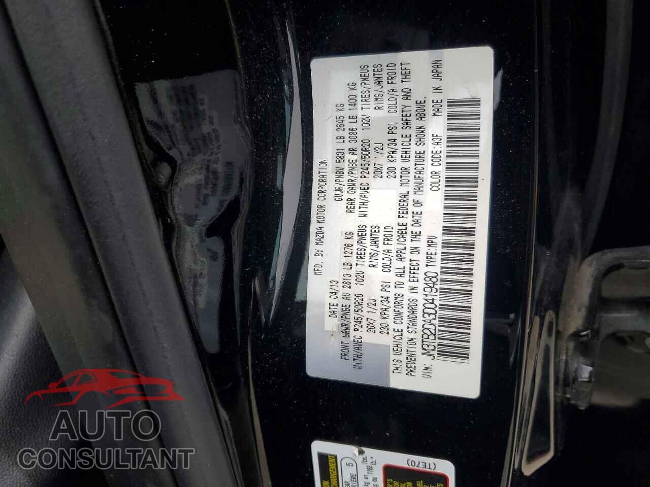 MAZDA CX-9 2013 - JM3TB2DA3D0419480