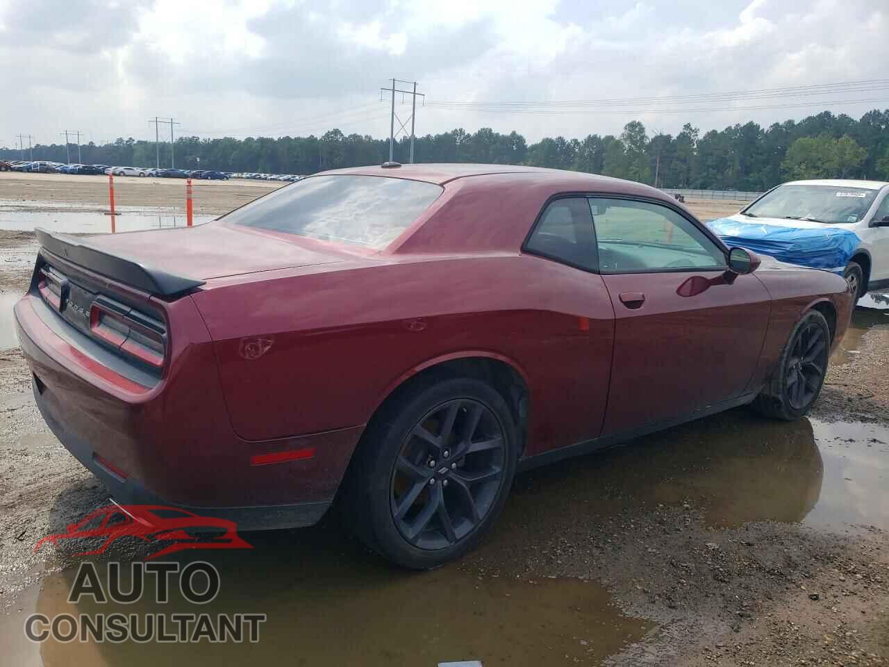 DODGE CHALLENGER 2019 - 2C3CDZAG7KH691595