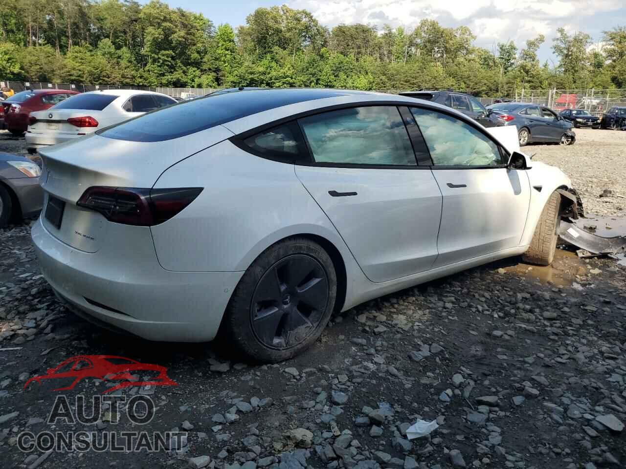TESLA MODEL 3 2021 - 5YJ3E1EB1MF858566