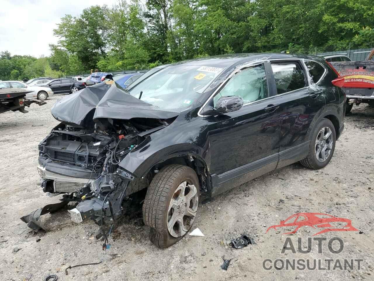 HONDA CRV 2019 - 2HKRW2H55KH645301