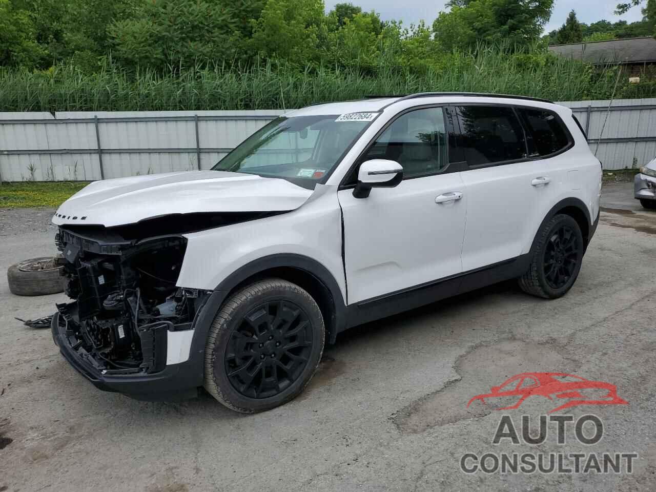 KIA TELLURIDE 2021 - 5XYP3DHC9MG144657