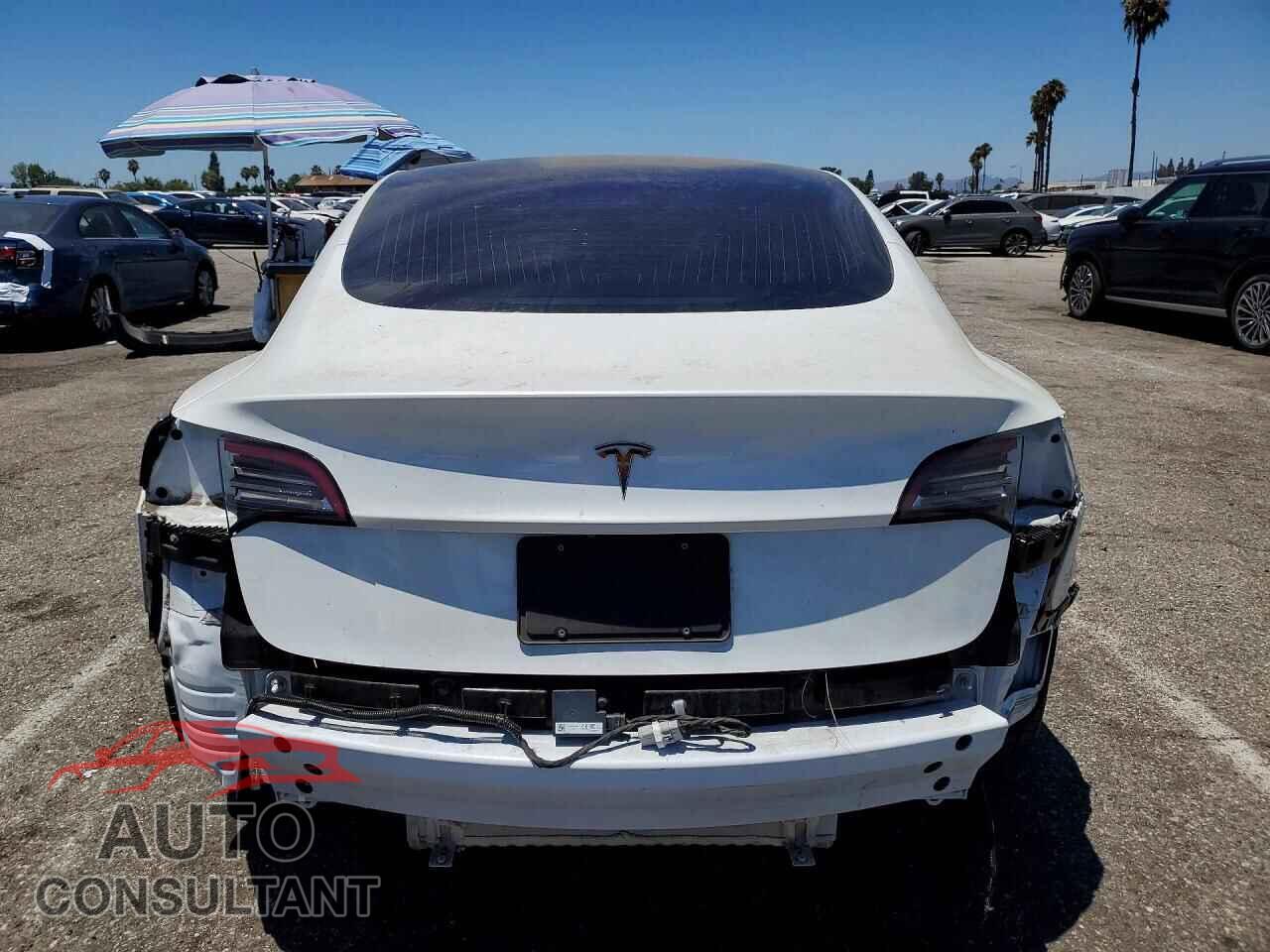 TESLA MODEL 3 2019 - 5YJ3E1EA3KF326952