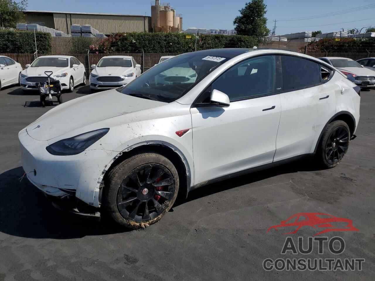 TESLA MODEL Y 2021 - 5YJYGDEE1MF265155
