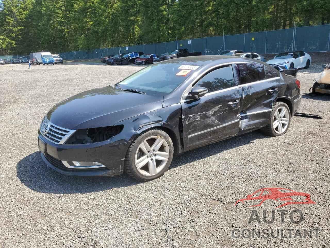 VOLKSWAGEN CC 2014 - WVWBP7AN2EE516376