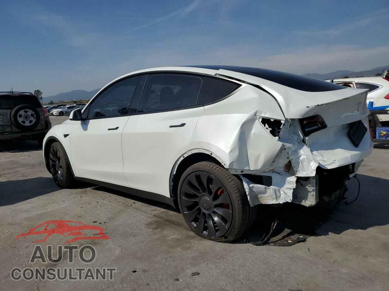 TESLA MODEL Y 2022 - 7SAYGDEF5NF456543