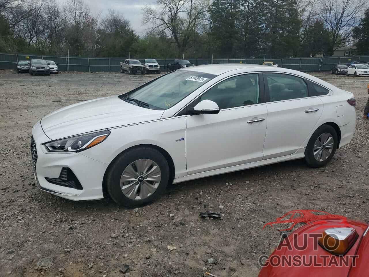 HYUNDAI SONATA 2019 - KMHE24L31KA089373