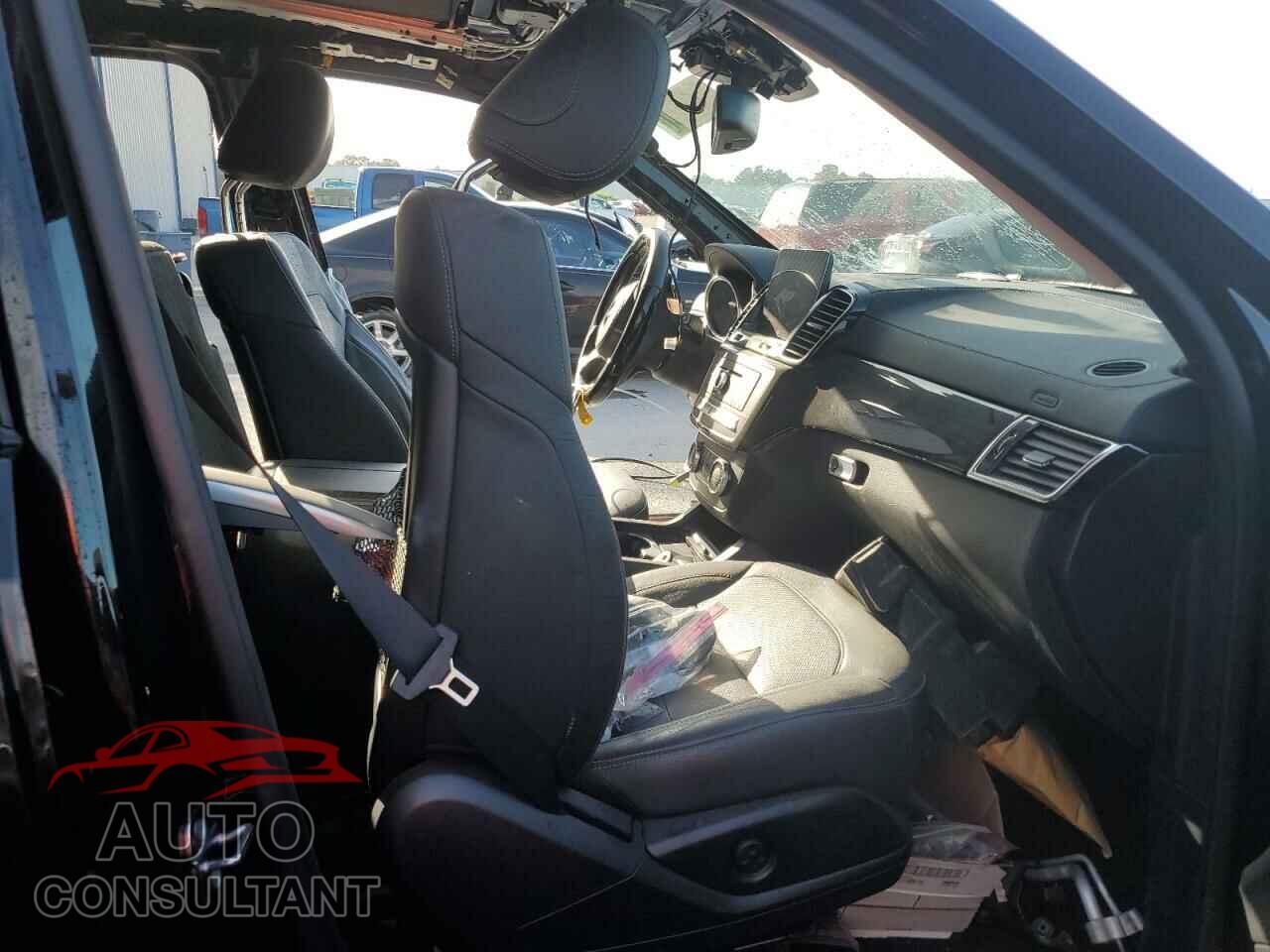 MERCEDES-BENZ GLS-CLASS 2019 - 4JGDF6EE7KB230032
