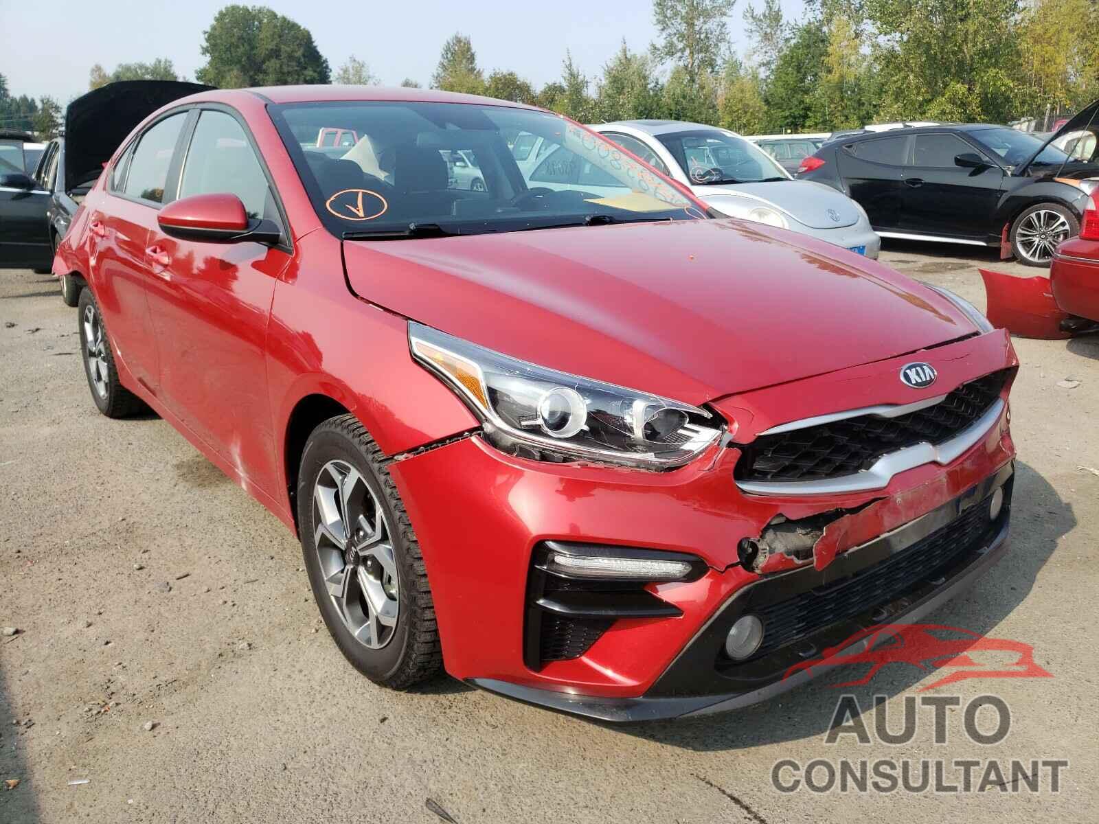 KIA FORTE 2019 - 3KPF24AD7KE083482