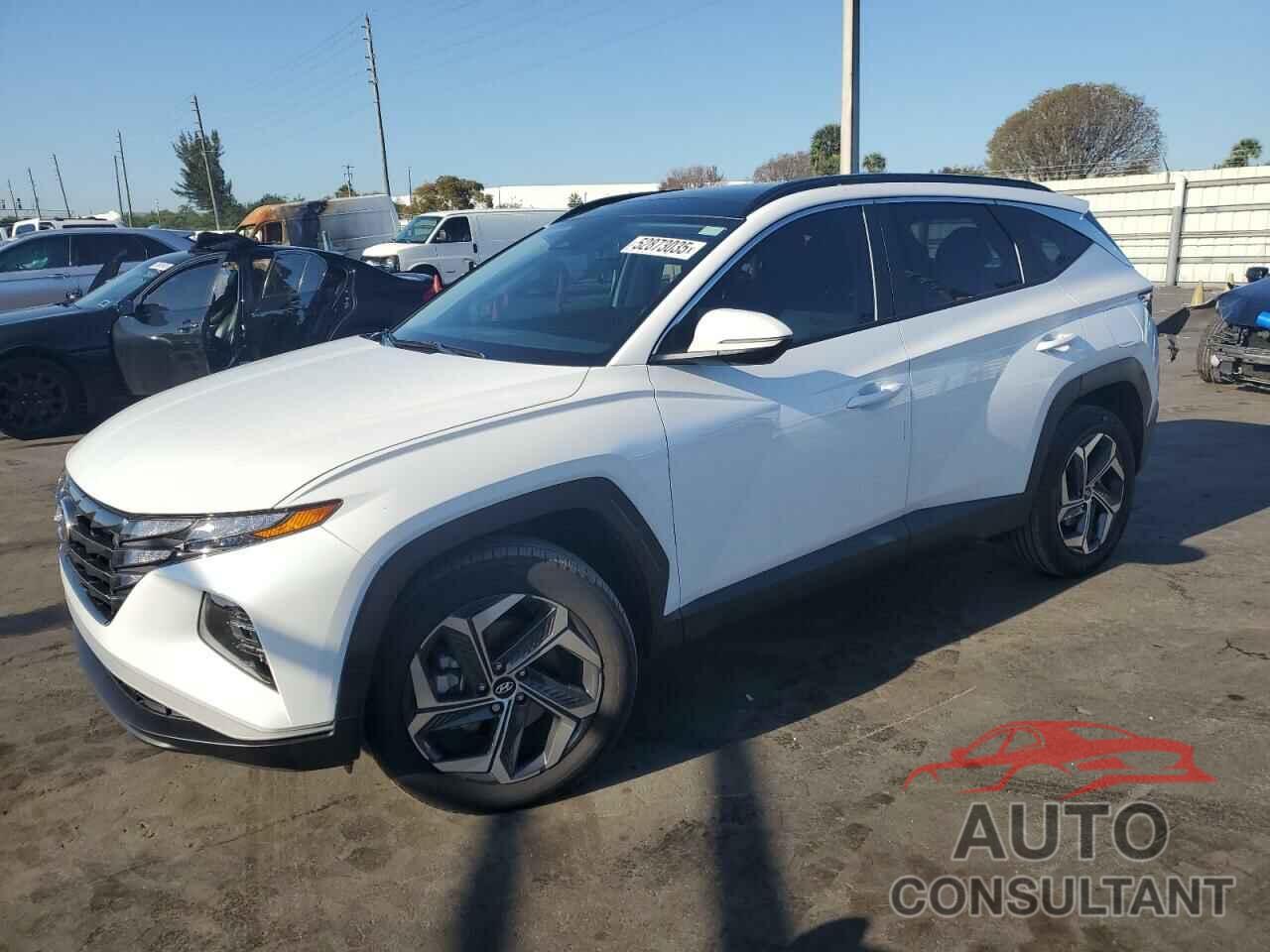 HYUNDAI TUCSON 2024 - KM8JCCD19RU213739