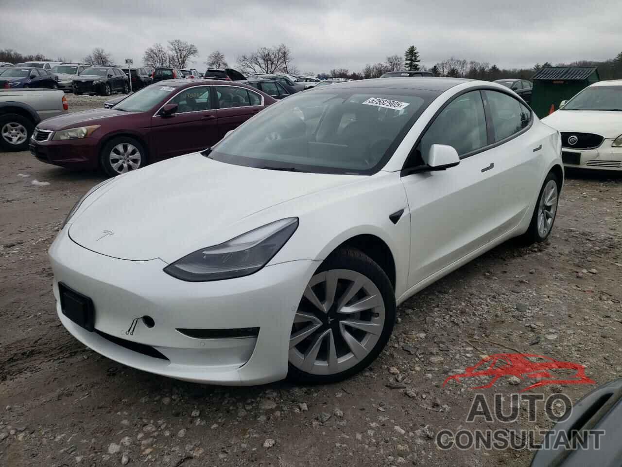 TESLA MODEL 3 2022 - 5YJ3E1EB3NF195728